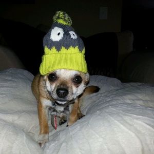 Meet your Posher, Stephanie